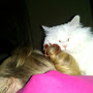 Meet your Posher, Bondagefofoo